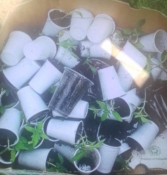 WhatsApp-Image-2019-06-06-at-10.40.41