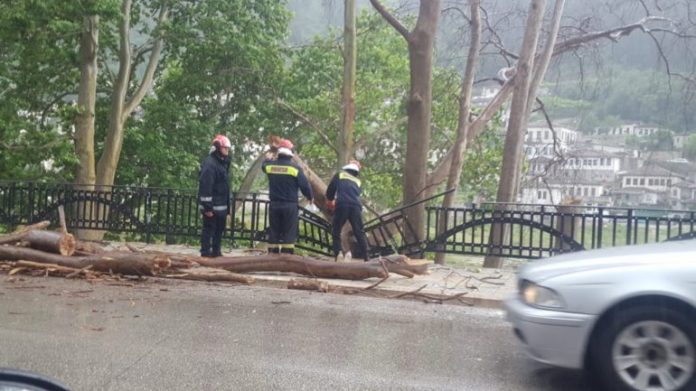 pema-berat-4-770x433