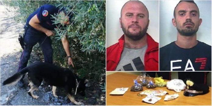 Arjon-Hasanaj1-770x385