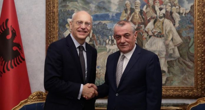 ruci-ambasadori-gjerman