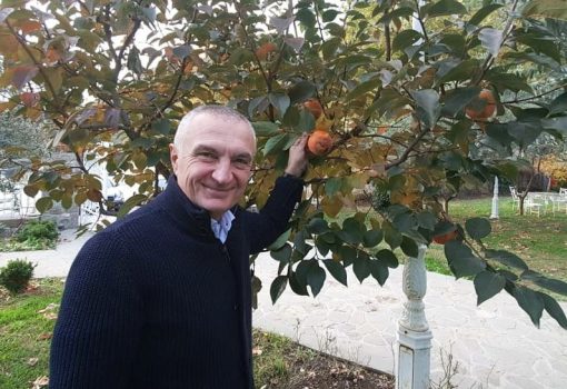 77014430_2628699187176338_8823535604076642304_n-510x350