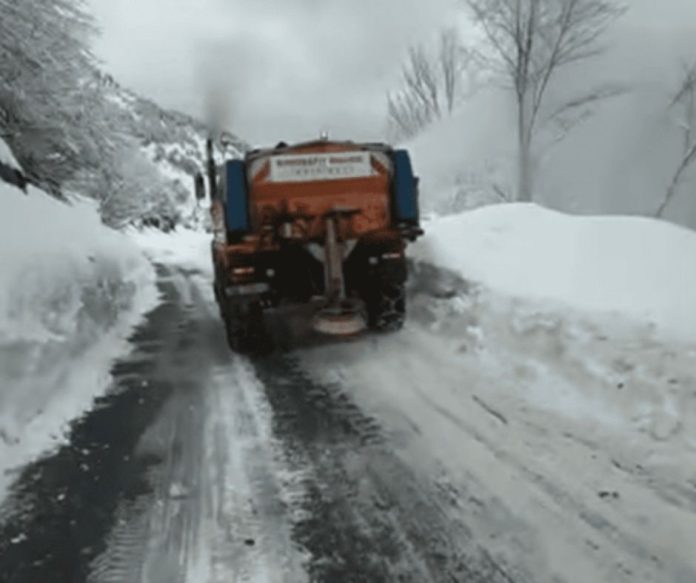 Untitled design (90)