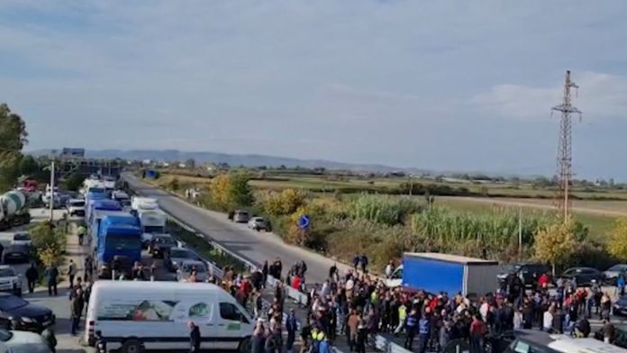 Untitled design (10)