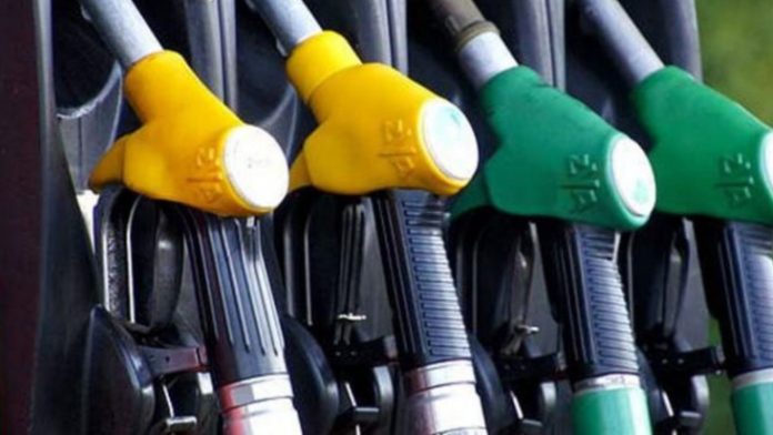 Untitled design (91)