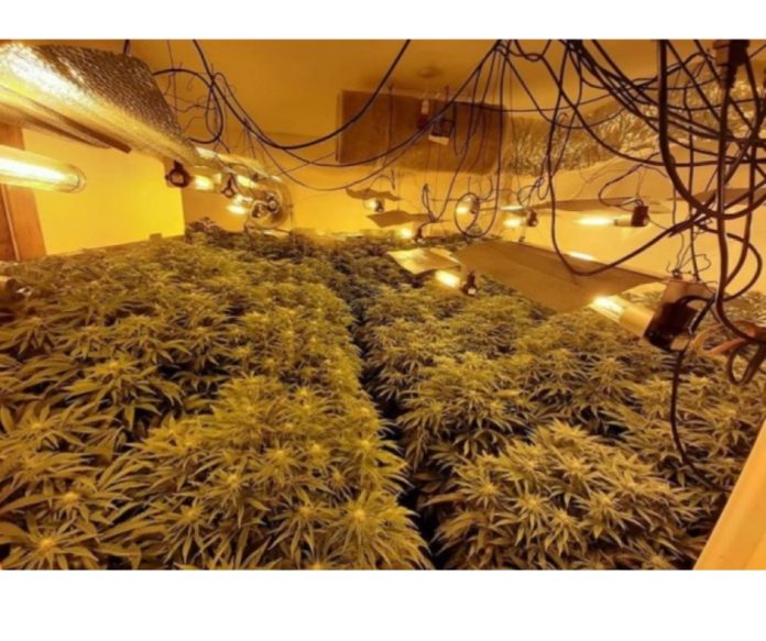 EF736073-2C18-4309-8CB1-EA36024C3B8E