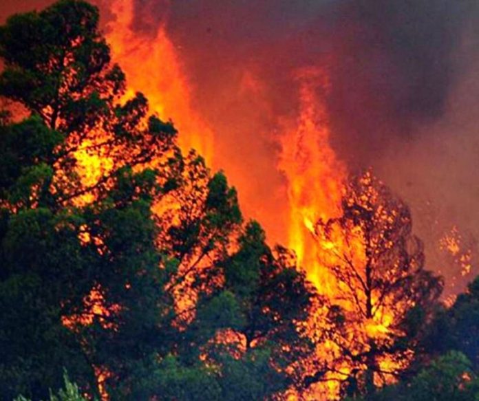 Untitled design - 2022-08-09T130812.267