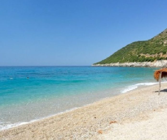 Untitled design - 2022-08-09T142935.059