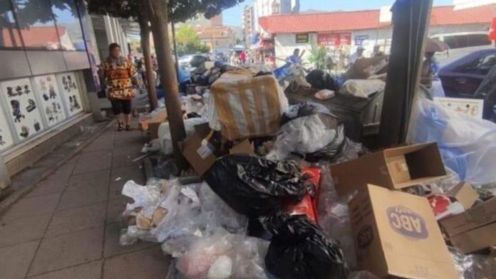 Untitled design - 2022-08-17T172554.495