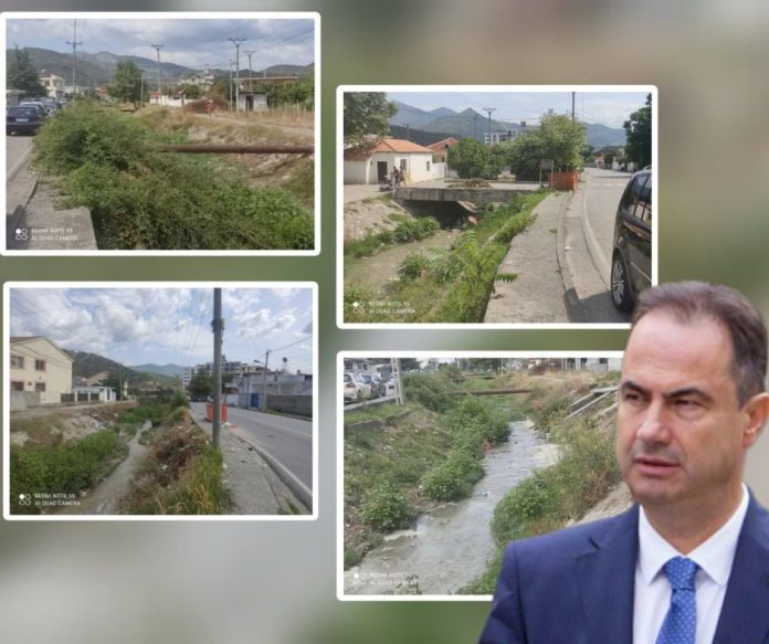 Untitled design - 2022-08-26T150812.248