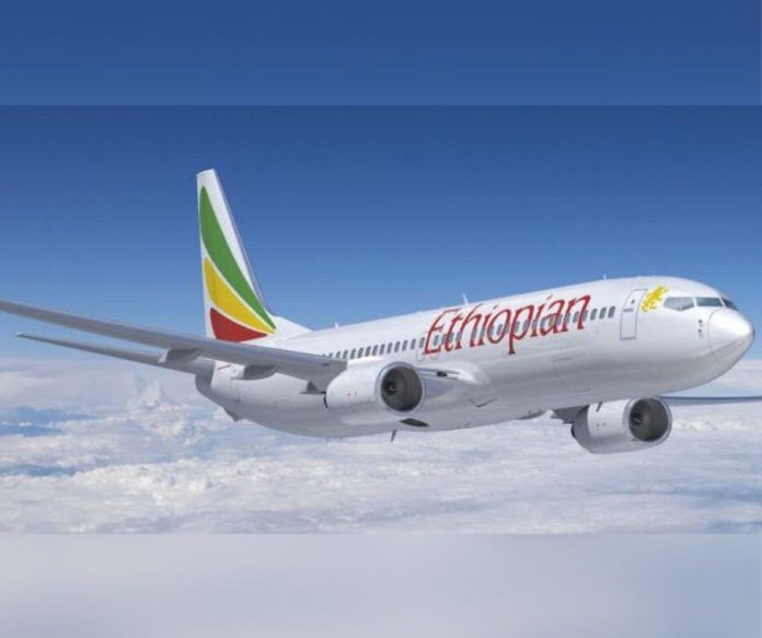 Dizajn pa titull (7)