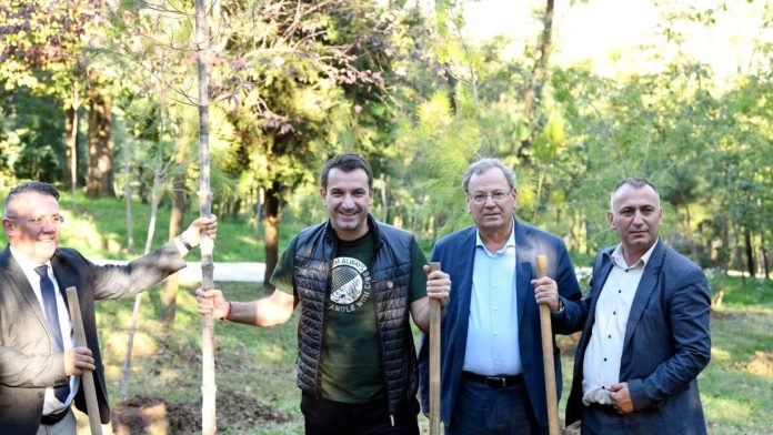 Untitled design - 2022-10-22T174632.200