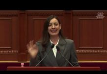 17 organizata kërkojnë masë disiplinore nga Kuvendi për Zegjine Çaushin: Përdor gjuhë denigruese ndaj Bardhit