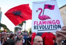 Analiza e Radio France: “Revolucioni i Flamingove” që po sfidon Edi Ramën