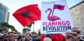 Analiza e Radio France: “Revolucioni i Flamingove” që po sfidon Edi Ramën
