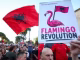 Analiza e Radio France: “Revolucioni i Flamingove” që po sfidon Edi Ramën