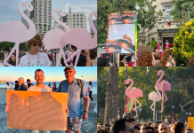 Bie alibia e Ramës/ Si po i përqafojnë turistët e huaj protestat në Shqipëri