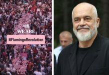 Rama sulmon sërish protestuesit: Problemi nuk janë flamingot, por sorrat