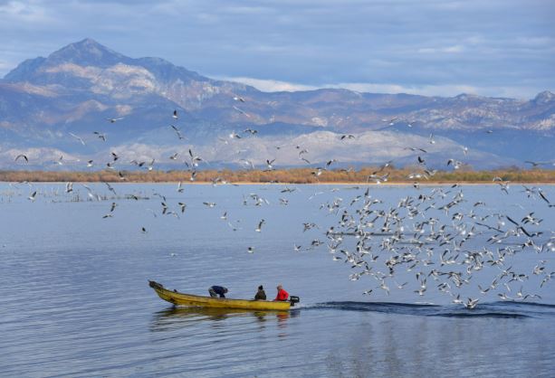 shkoder
