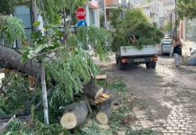 Stuhia godet jugun e Shqipërisë, makina të dëmtuara dhe ndërprerje të energjisë elektrike