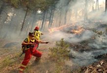 Temperaturat e larta/Paralajmërim nga IGJEUM: Kujdes nga zjarret, ja 6 qarqet me rrezik të lartë