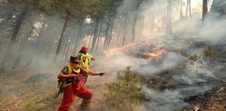 Temperaturat e larta/Paralajmërim nga IGJEUM: Kujdes nga zjarret, ja 6 qarqet me rrezik të lartë