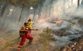 Temperaturat e larta/Paralajmërim nga IGJEUM: Kujdes nga zjarret, ja 6 qarqet me rrezik të lartë
