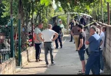 Zbardhet dinamika e tragjedisë me tre viktima në Roskovec/ Çifti Plaka ishte nisur për në punë, 35-vjeçari u fut në banesë i armatosur dhe hapi zjarr