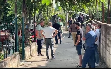 Zbardhet dinamika e tragjedisë me tre viktima në Roskovec/ Çifti Plaka ishte nisur për në punë, 35-vjeçari u fut në banesë i armatosur dhe hapi zjarr