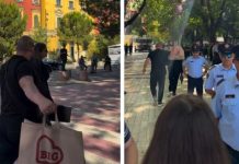 Sara Mile frikë nga vezët dhe domatet, shkon me truprojë në Kuvend