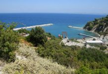 Dy brigje, një kauzë: Aktivistët lundrojnë nga Italia në mbështetje të “Revolucionit të Flamingove”