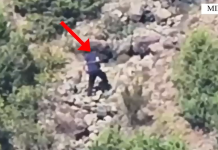 U kap duke ndezur zjarr, arrestohet 62-vjeçari në Mirditë, autor i 5 vatrave në ditët e fundit
