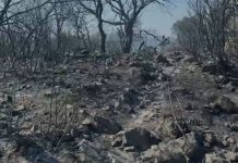 Banesa, tokë dhe ullinj të shkrumbuar, Himara një ditë pas zjarrit