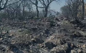 Banesa, tokë dhe ullinj të shkrumbuar, Himara një ditë pas zjarrit