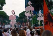 Shqetësimi për algoritmin/ Zhduken llogaritë që promovuan protestën e flamingove në rrjetet sociale