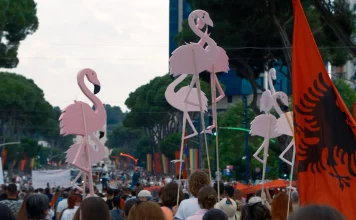 Shqetësimi për algoritmin/ Zhduken llogaritë që promovuan protestën e flamingove në rrjetet sociale