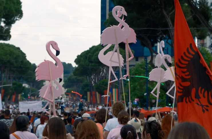 Shqetësimi për algoritmin/ Zhduken llogaritë që promovuan protestën e flamingove në rrjetet sociale