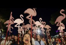 Protesta e qytetarëve në Tiranë, Lutfi Dervishi: 100 ditë