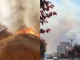 Zjarri në Radostinë të Fierit del jashtë kontrollit/ Flakët përfshijnë pyllin me pisha pranë liqenit në Qafën e Koshovicës, rrezikohen dy lokale