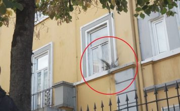 Studentët dalin në protestë, hedhin kapsolla dhe vezë drejt godinës së Ministrisë së Arsimit