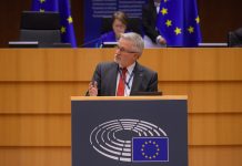 Protestat në Shqipëri, eurodeputeti gjerman: Kam dëshmuar lidhjet mes shtetit, pushtetit dhe krimit të organizuar