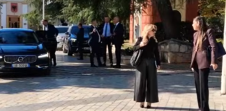 Protestueset përplasen me Iris Luarasin dhe Sara Milen